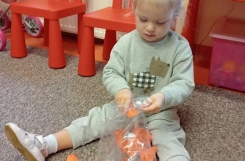 IMG20241010090608 